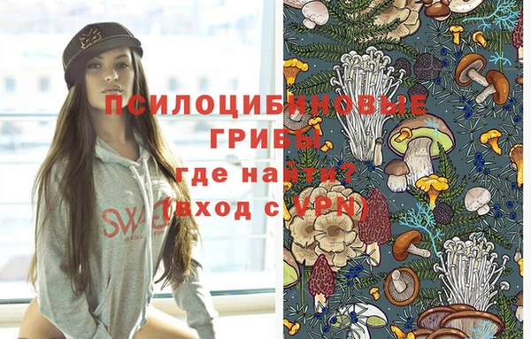 стафф Алексеевка