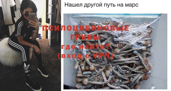 стафф Алексеевка
