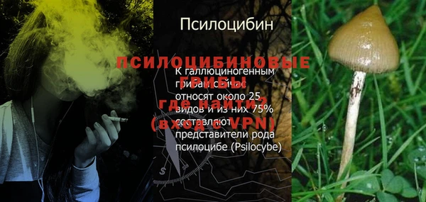 стафф Алексеевка