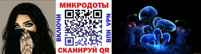 Галлюциногенные грибы Psilocybine cubensis  Купить  Тарко-Сале 